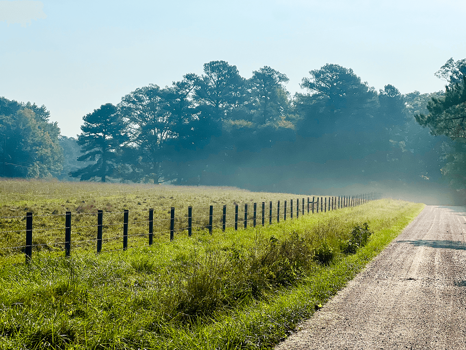 A scenic path