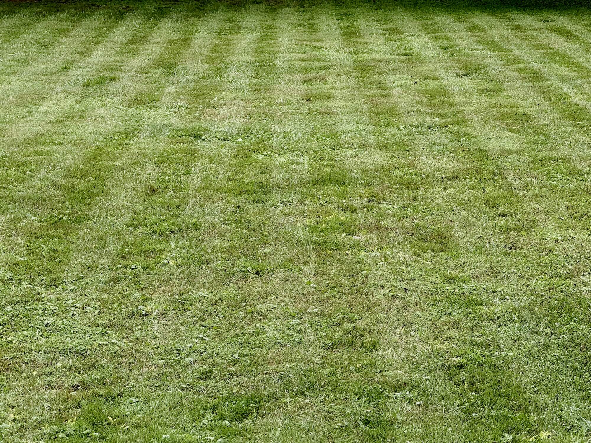 Perfectly straight lines in a field of grass