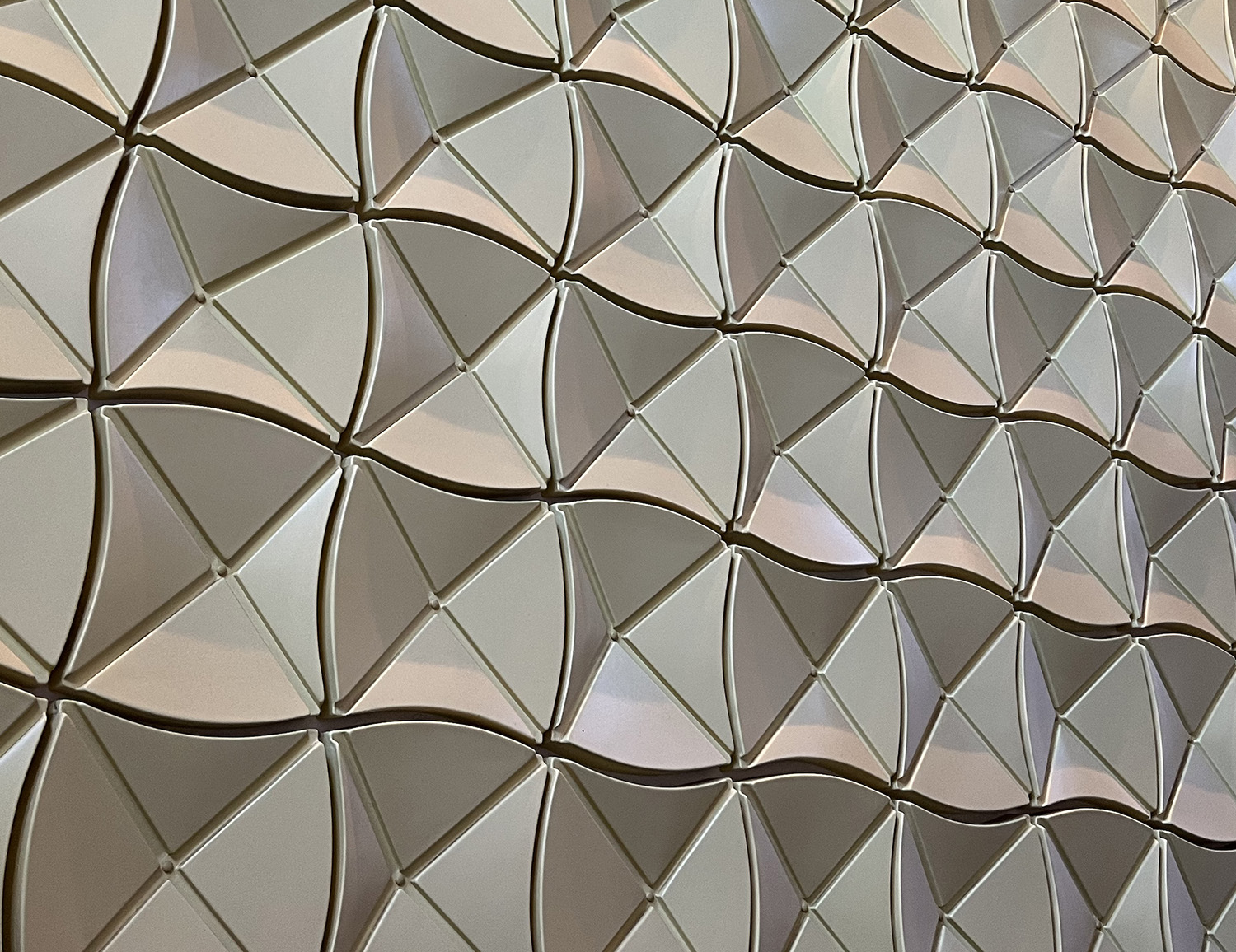 WHAT A TURTLE BELIEVES IN