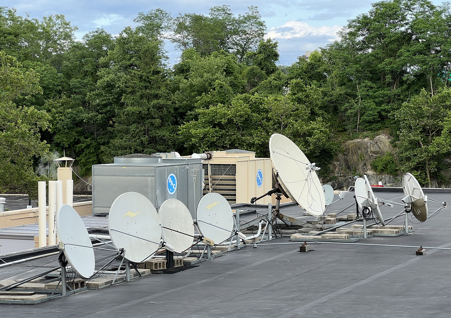 HOW DID THEY GET THAT WAY