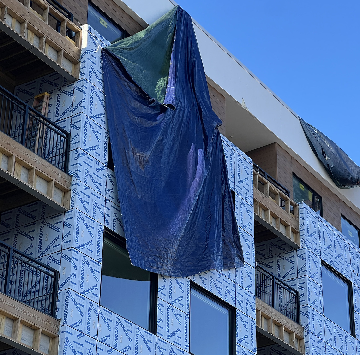 FESTOONED WHAT A DRAG