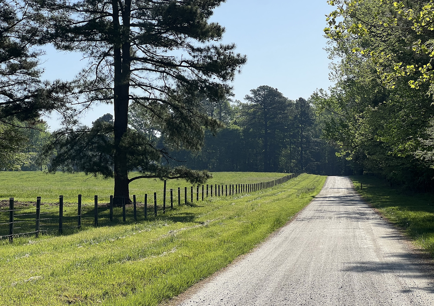 INDIVIDUAL CONTRIBUTOR