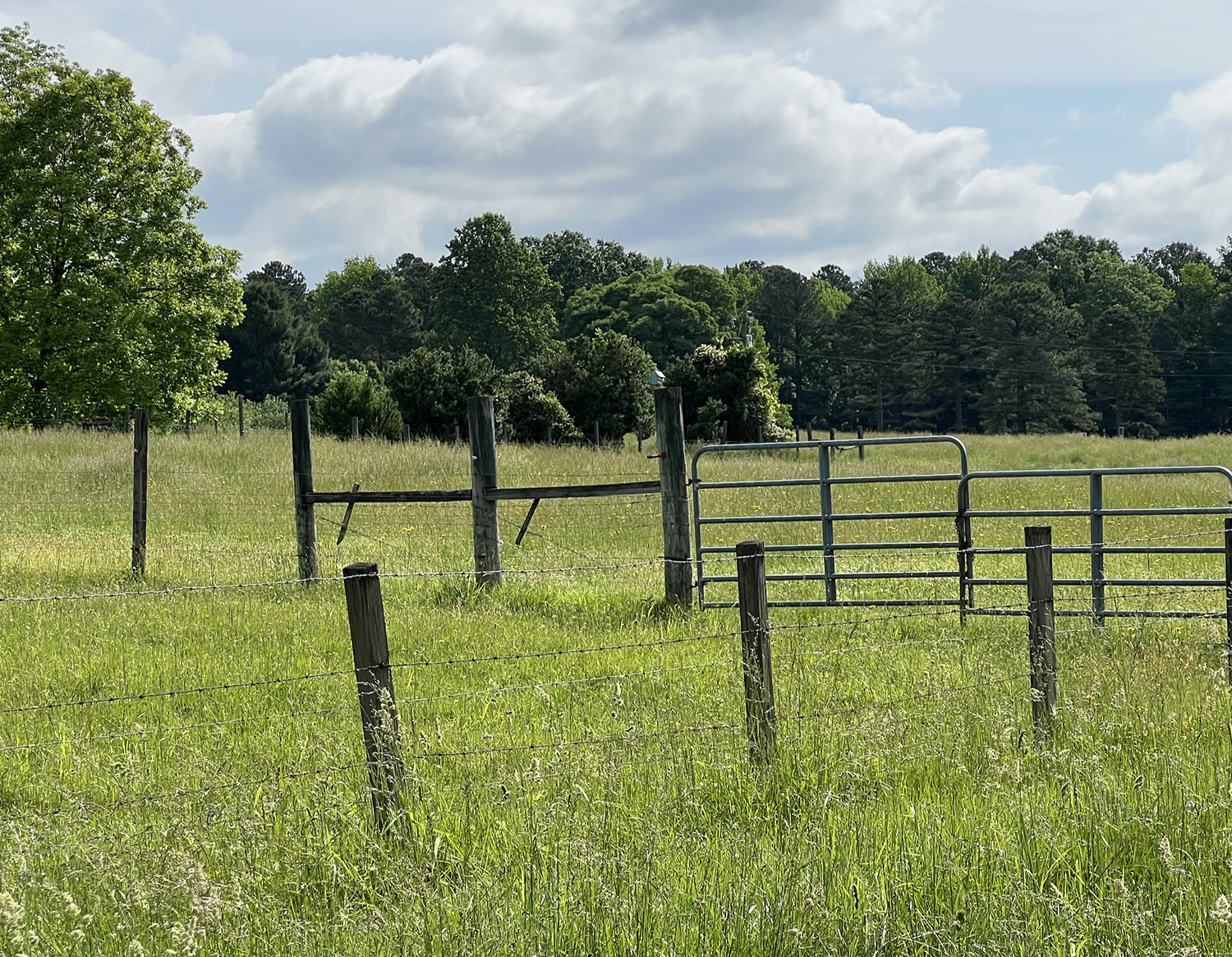 SOMETHING LOVELY AND HEAVEN SCENTED