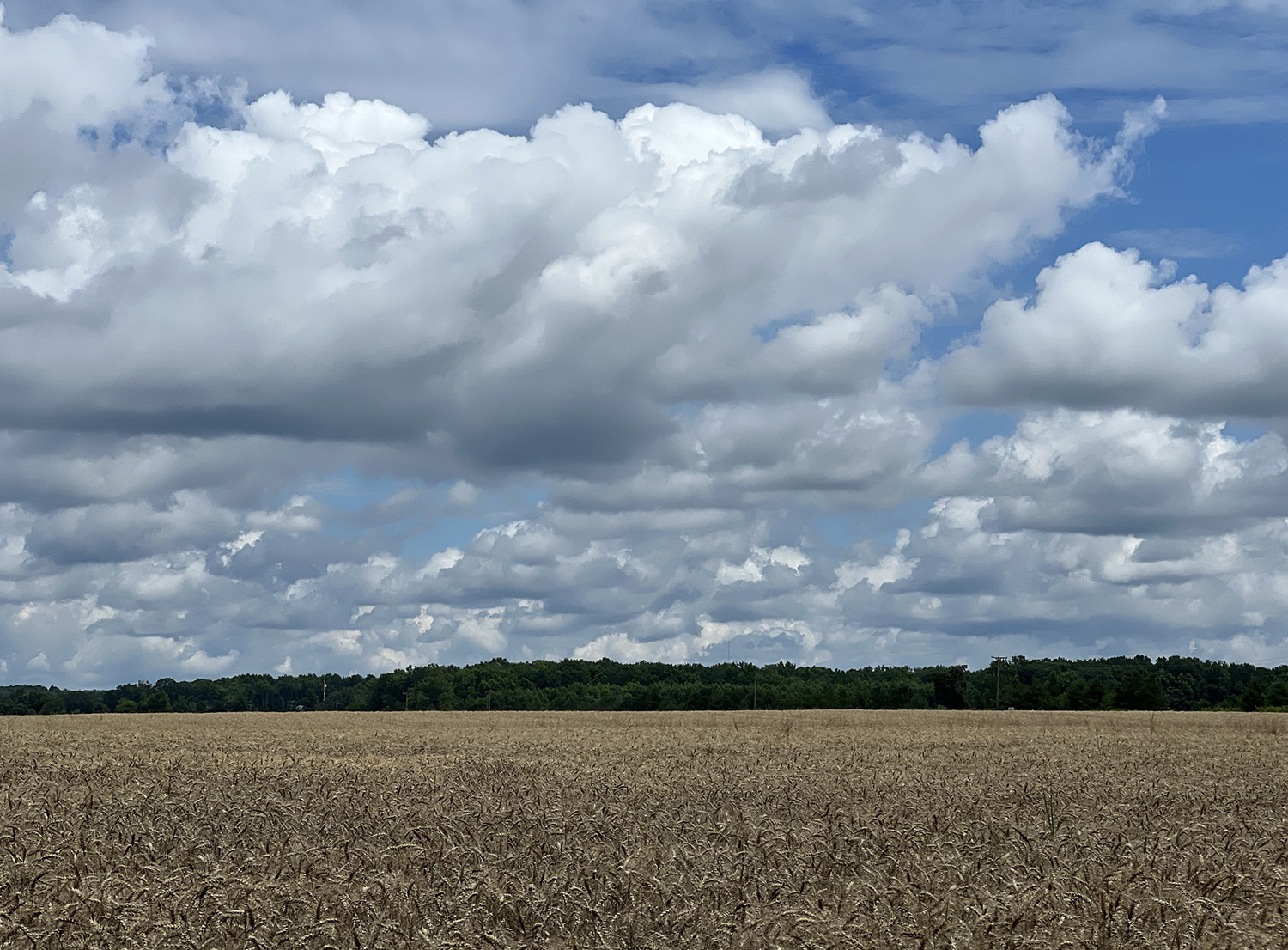 STABBED IN THE LEG 69 TIMES