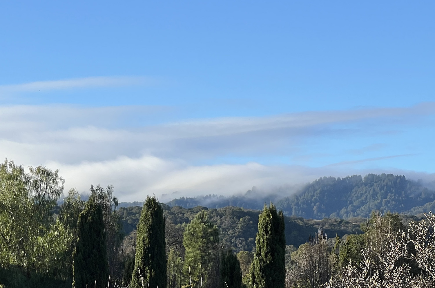 GLISTENING AMBIENT RELATIVE