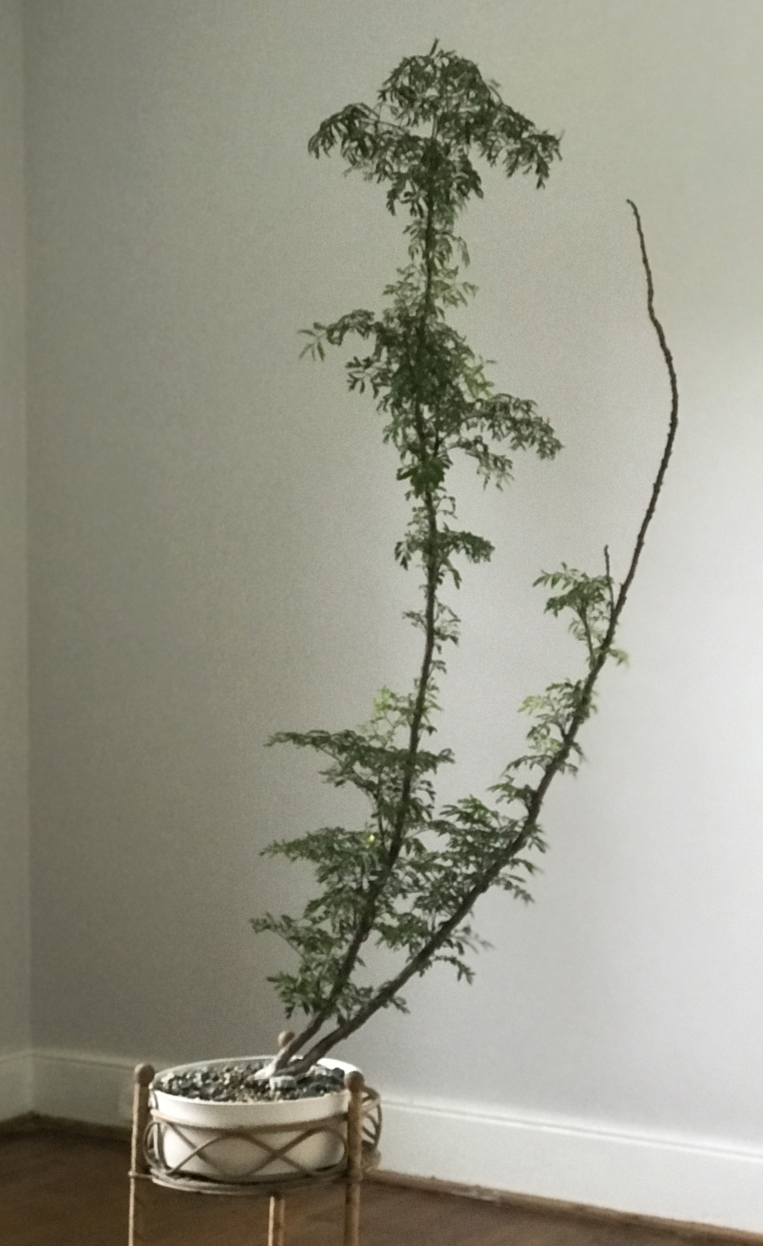 HOW DID IT MAKE YOU FEEL