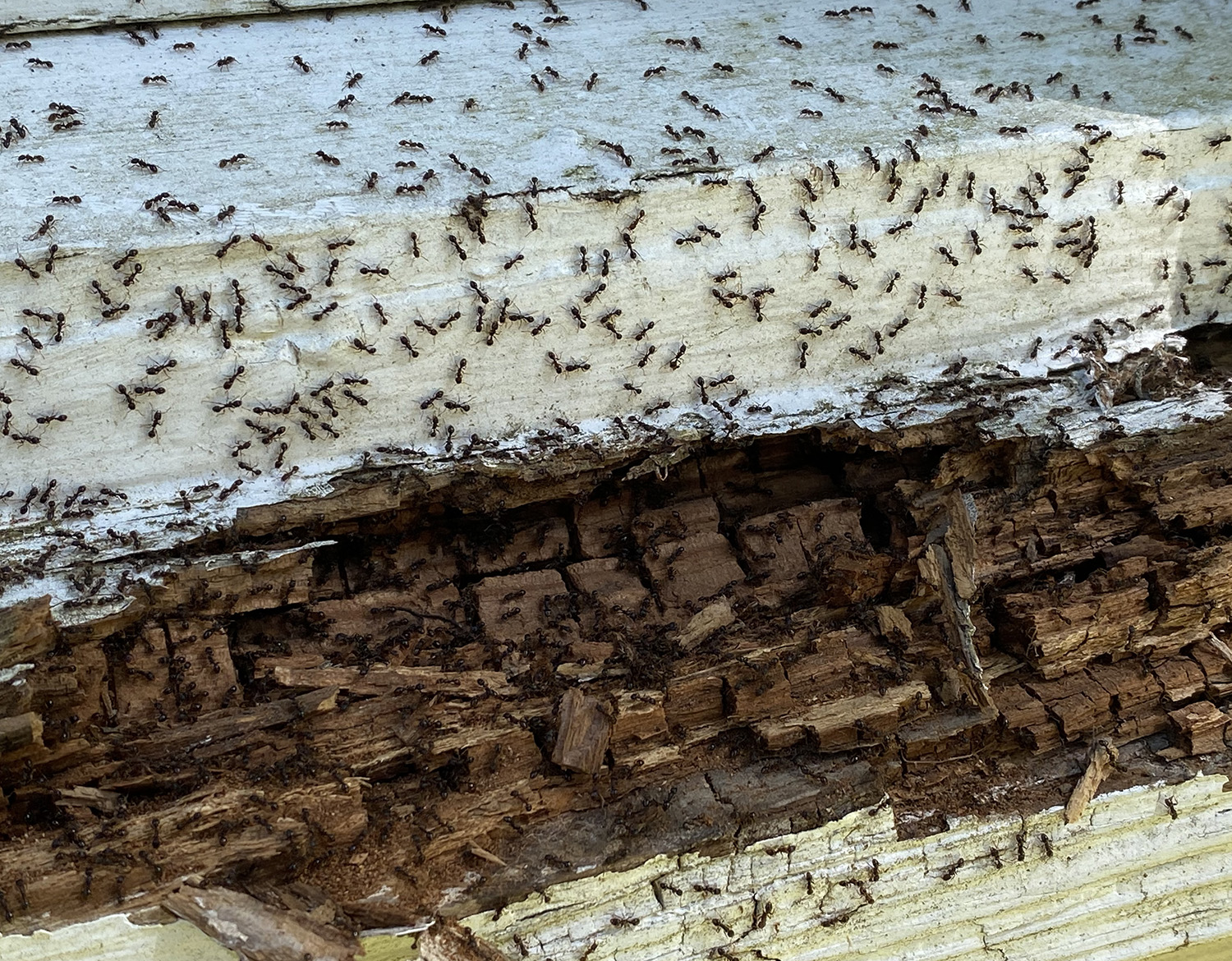 DID YOU TRY TURNING IT OFF AND ON