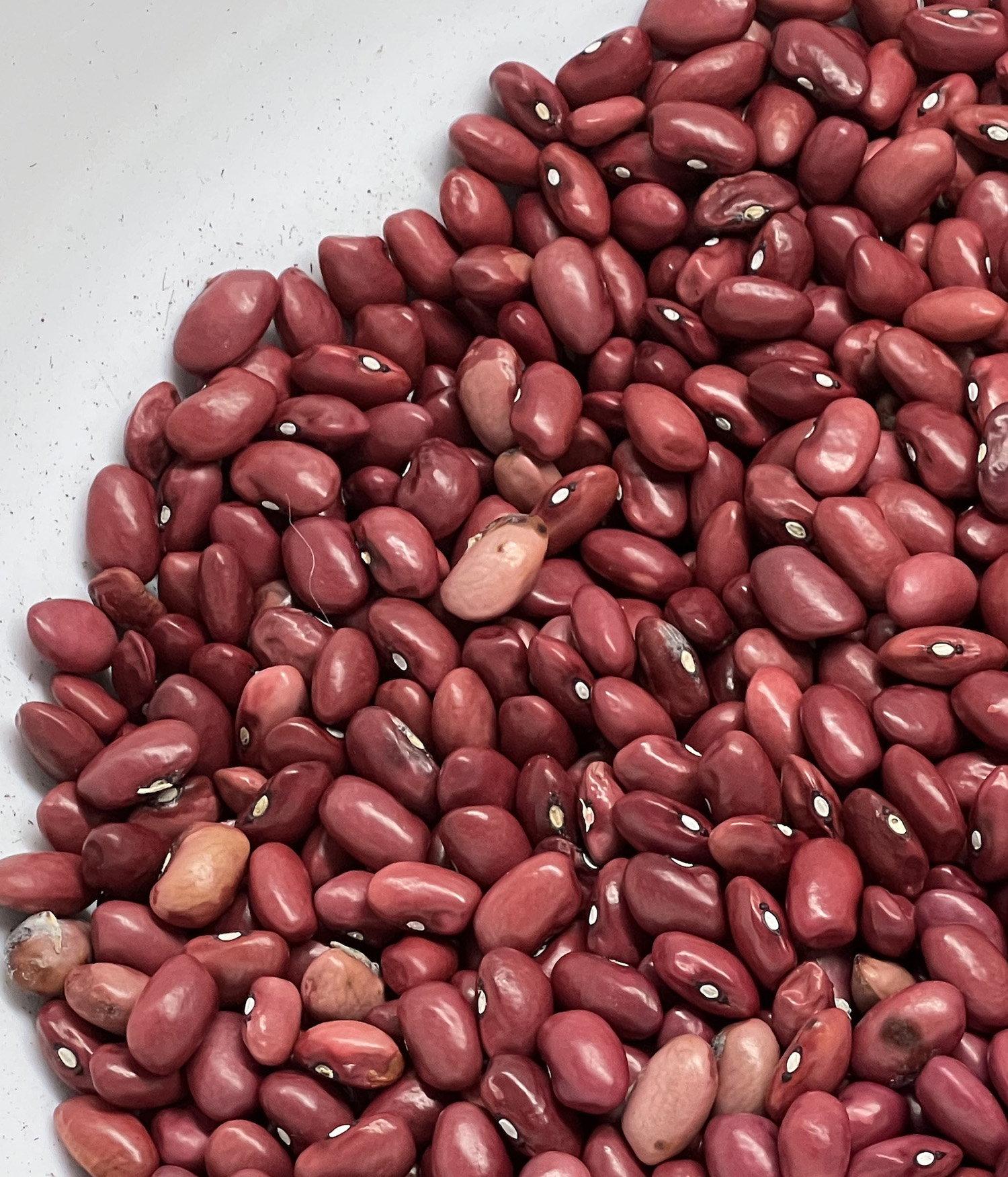 LOCATED YOU ON RADAR