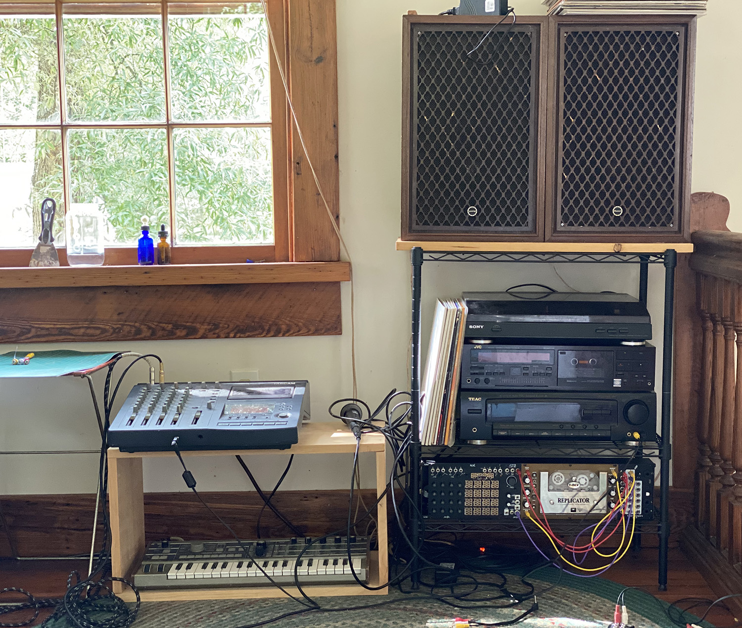 DEAD RATTLESNAKE AND HOW