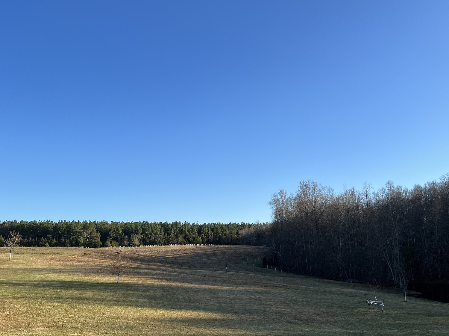 SPRAINED ROTATOR CUFF