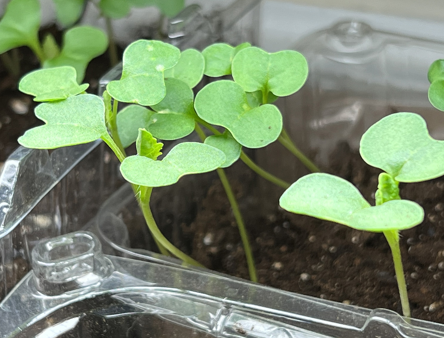 AFRAID OF SHARP EDGES