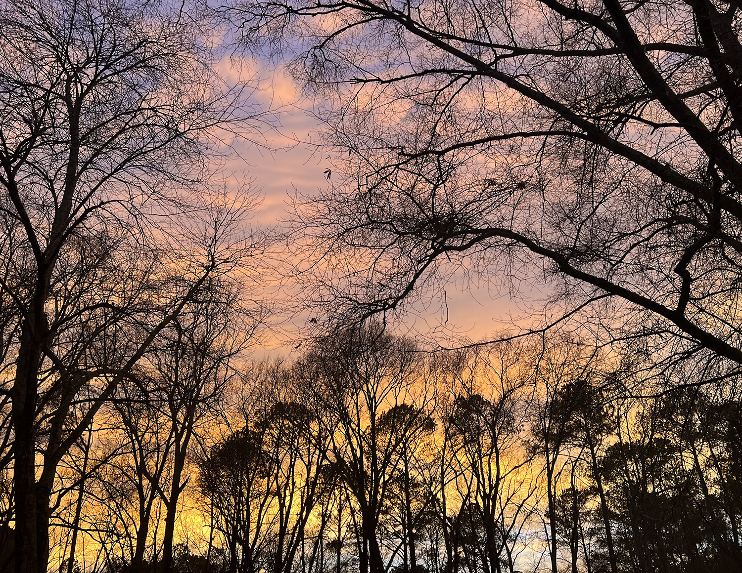 CAPABLE BUT UNLIKELY