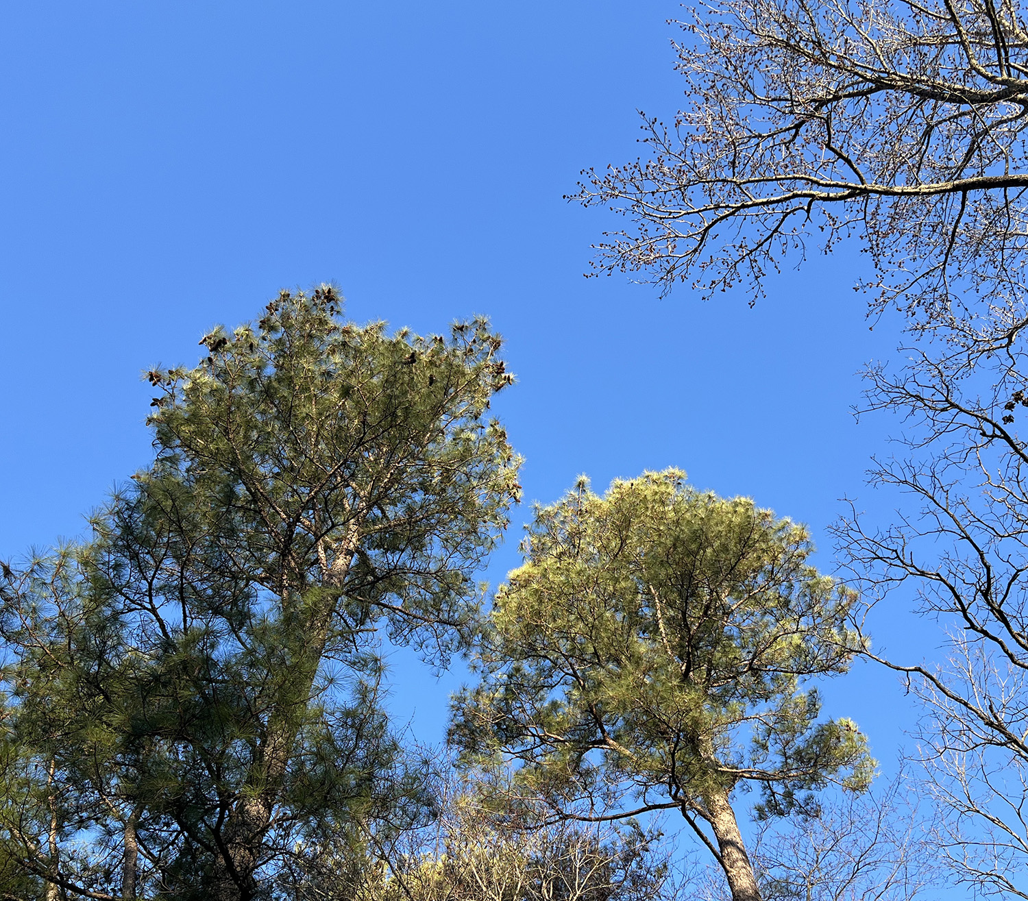 THANKS FOR COMING TO MY BIRTHDAY