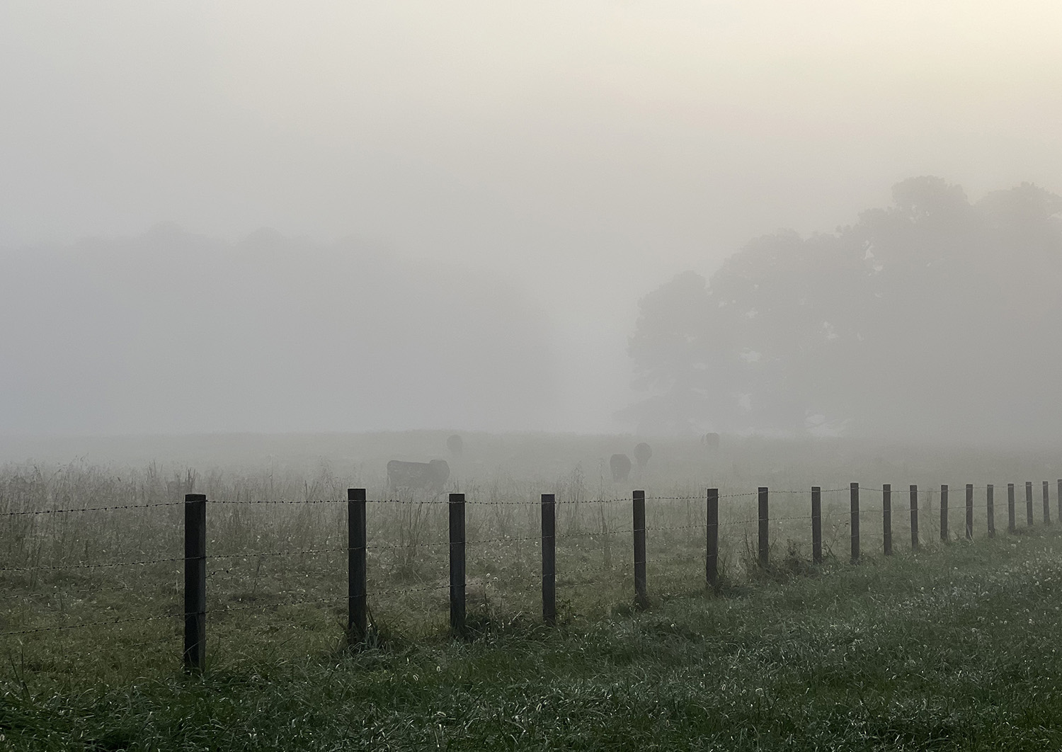 NEXT TO THE KEYS ON THE TABLE