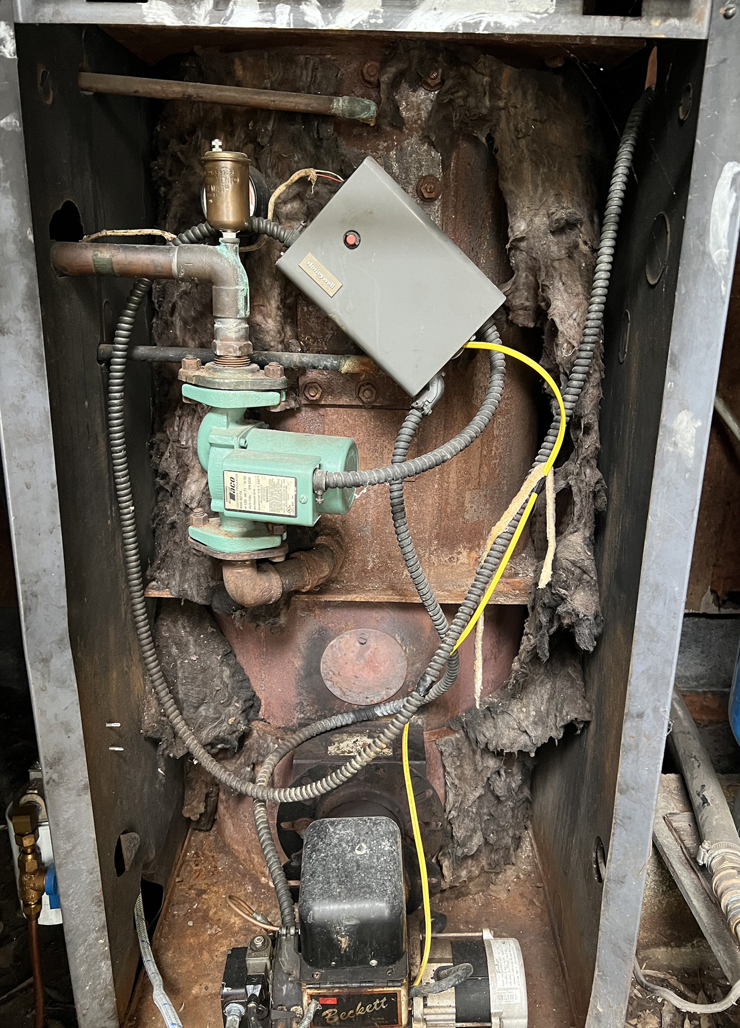 WHERE BABIES COME FROM