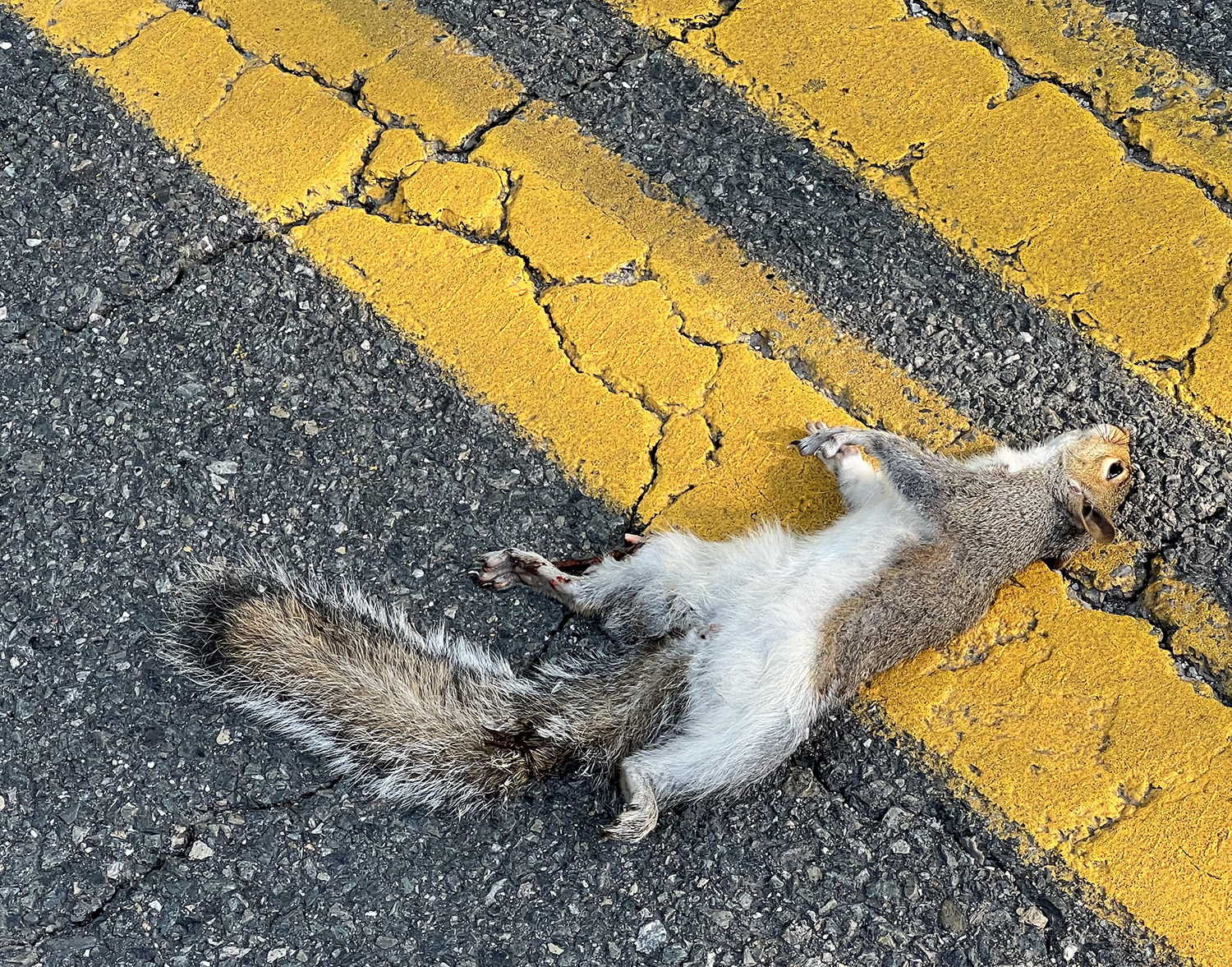 OVERWHELMED BY GUILT