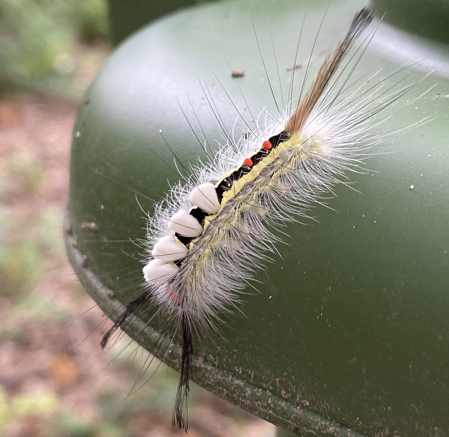 FOR THE NEXT 20 MINUTES