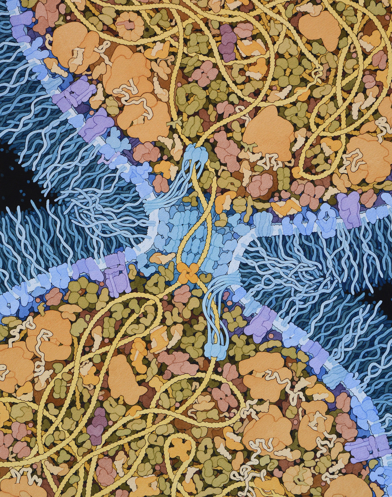 I CANT SEEM TO REMEMBER SORRY