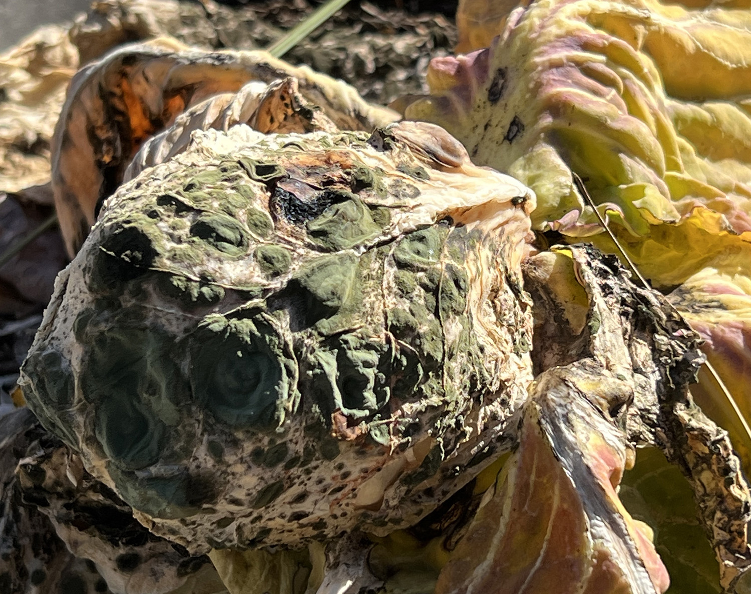 THAT DOESNT SEEM LIKE HER AT ALL