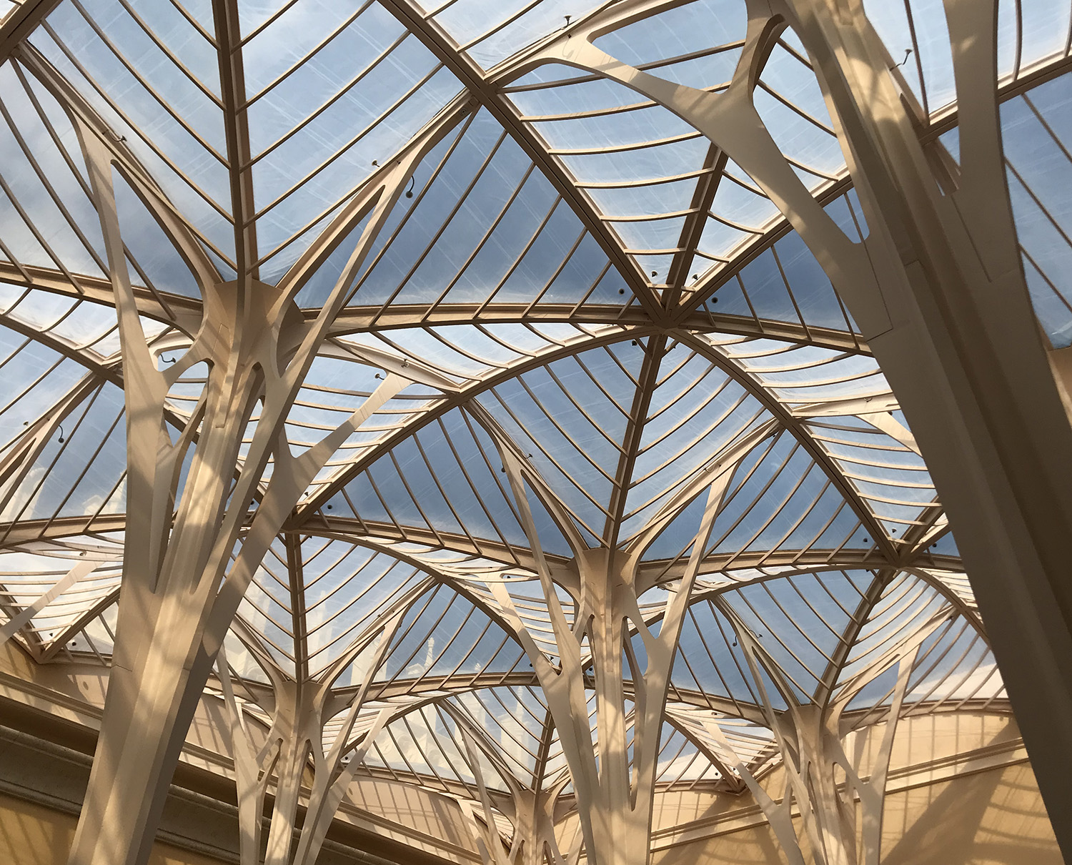 A COLLECTION OF SMALL RODENTS