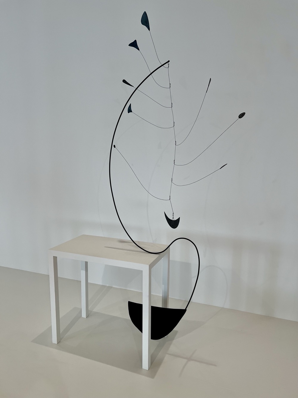 CALL THE PEOPLE OUT FOR THIS