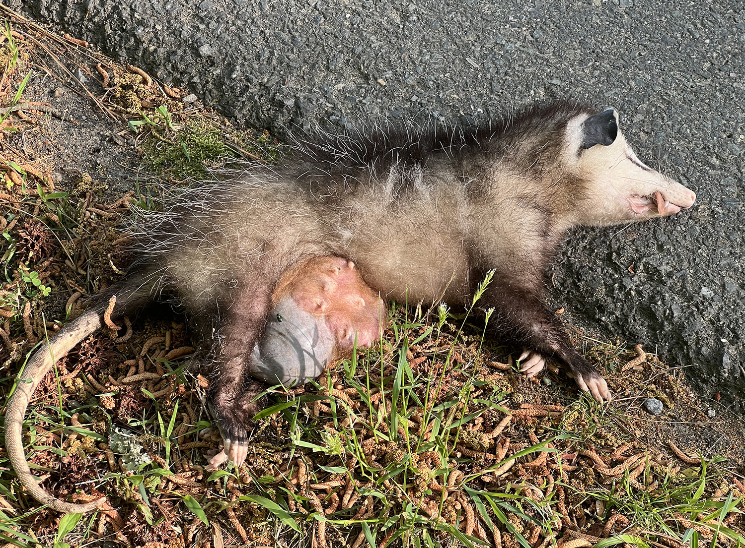 REALIZATION OF COMING IMPENDING DOOM