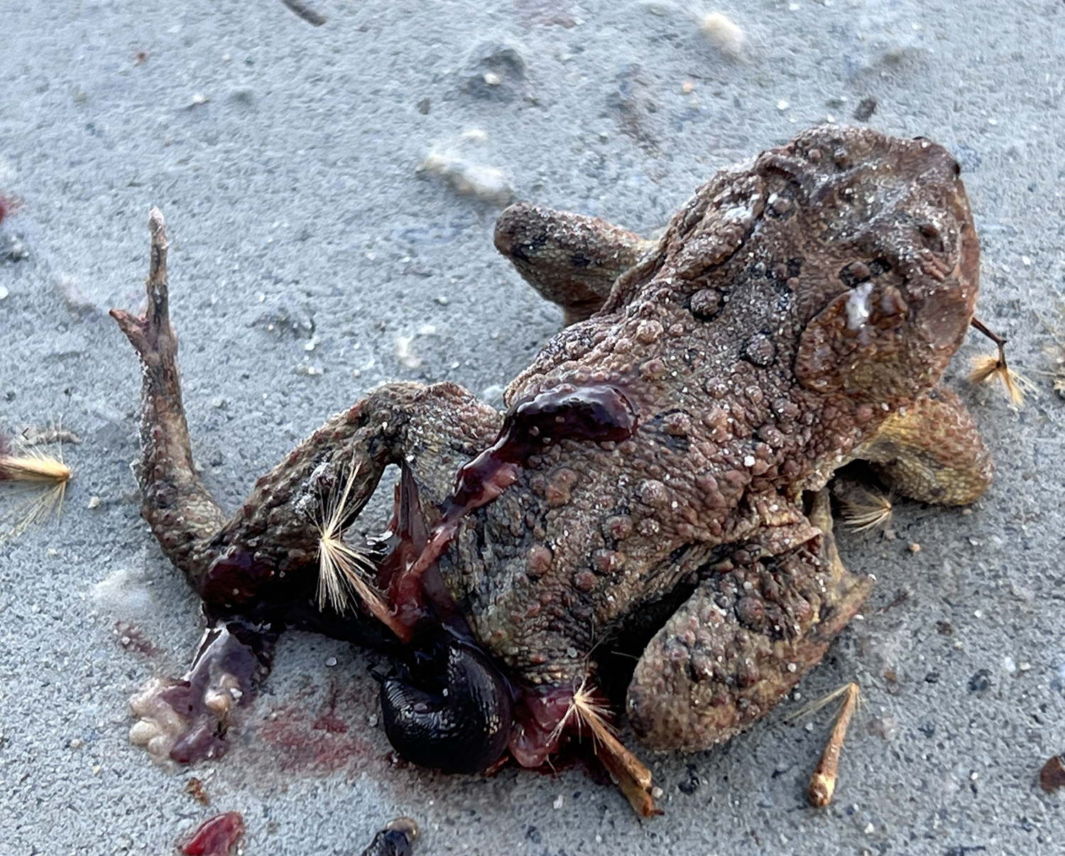 I AGREE ITS NOT MY BEST LOOK