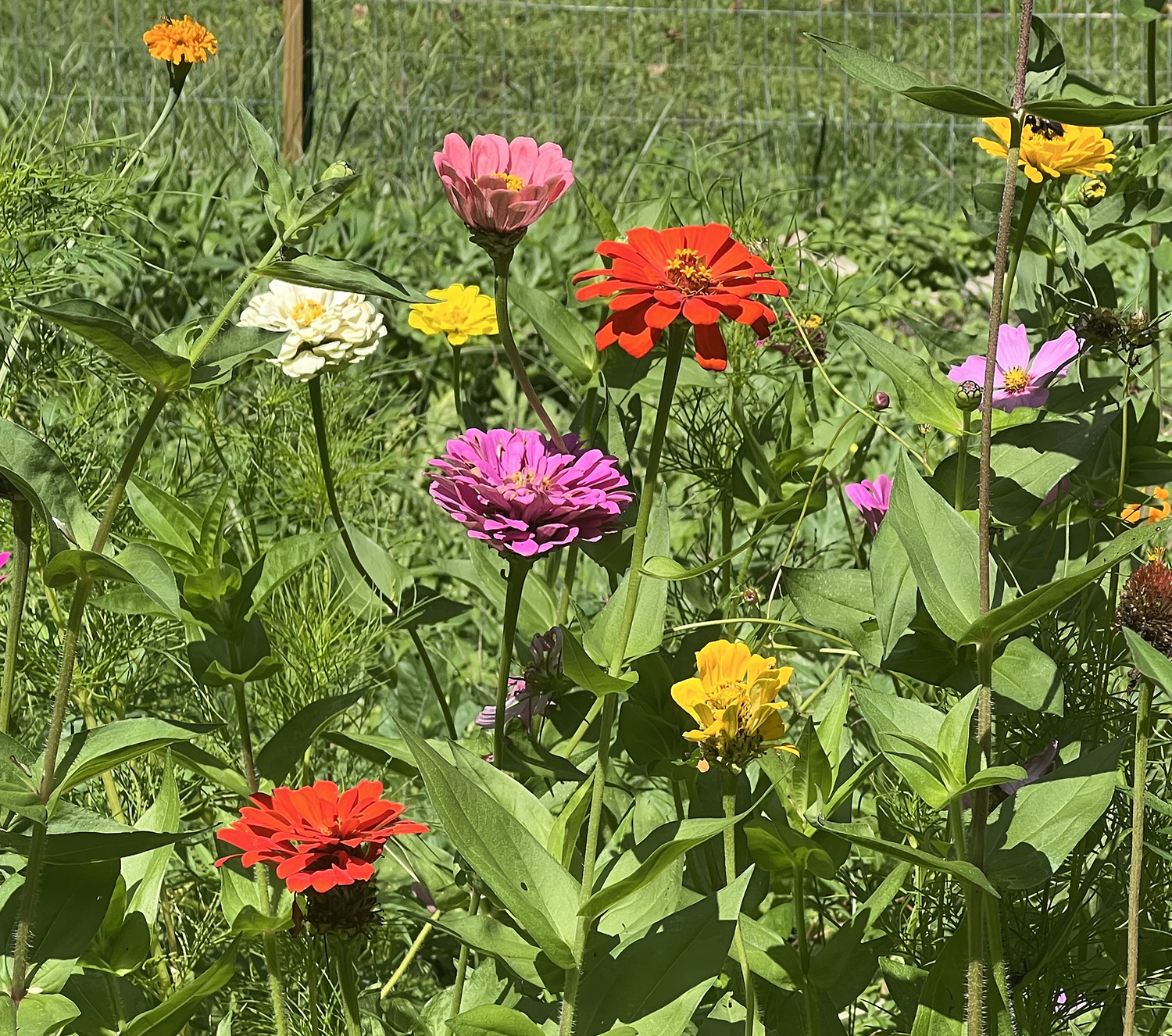 MODIFIED ENTITY RELATIONSHIP