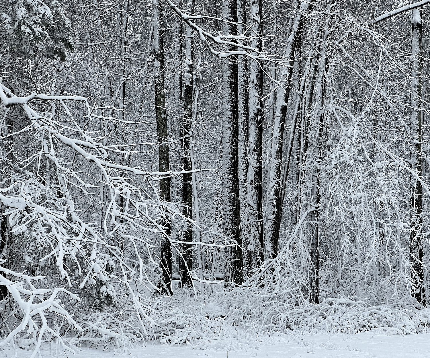 NO WAY I CANNOT BELIEVE IT