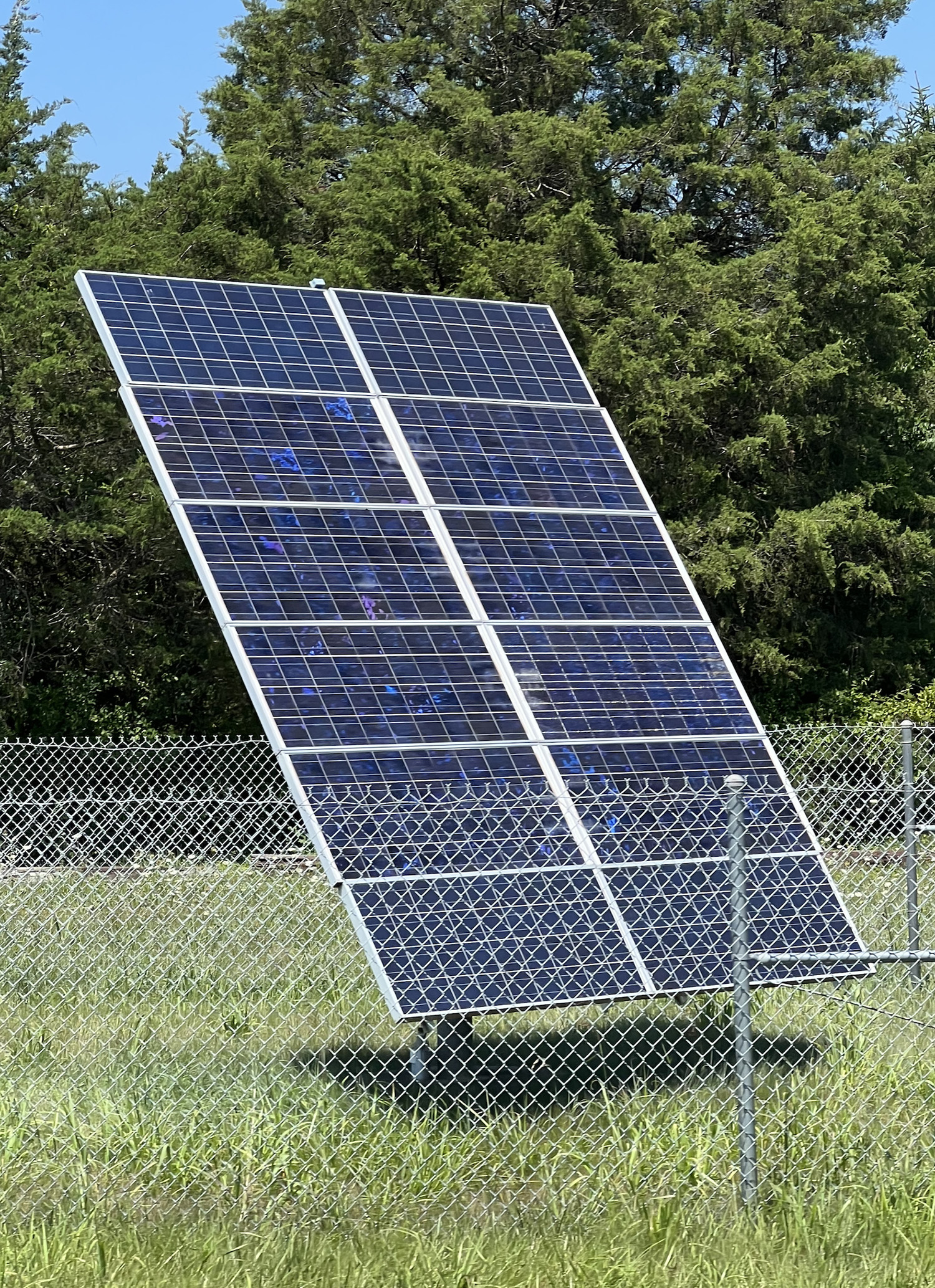 OLYMPIC DIGITAL 1978