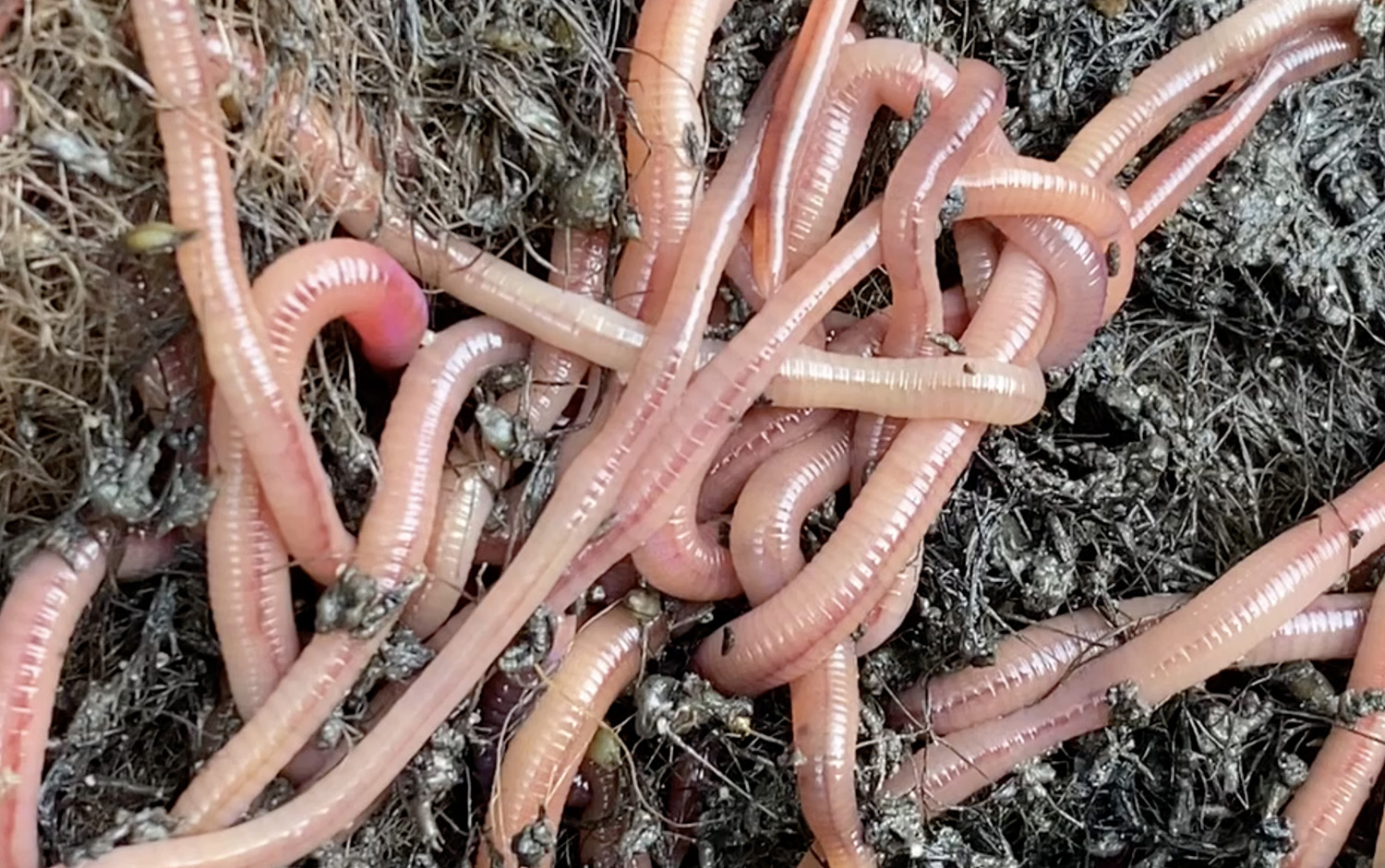 I DONT REMEMBER WHAT HIS NAME WAS