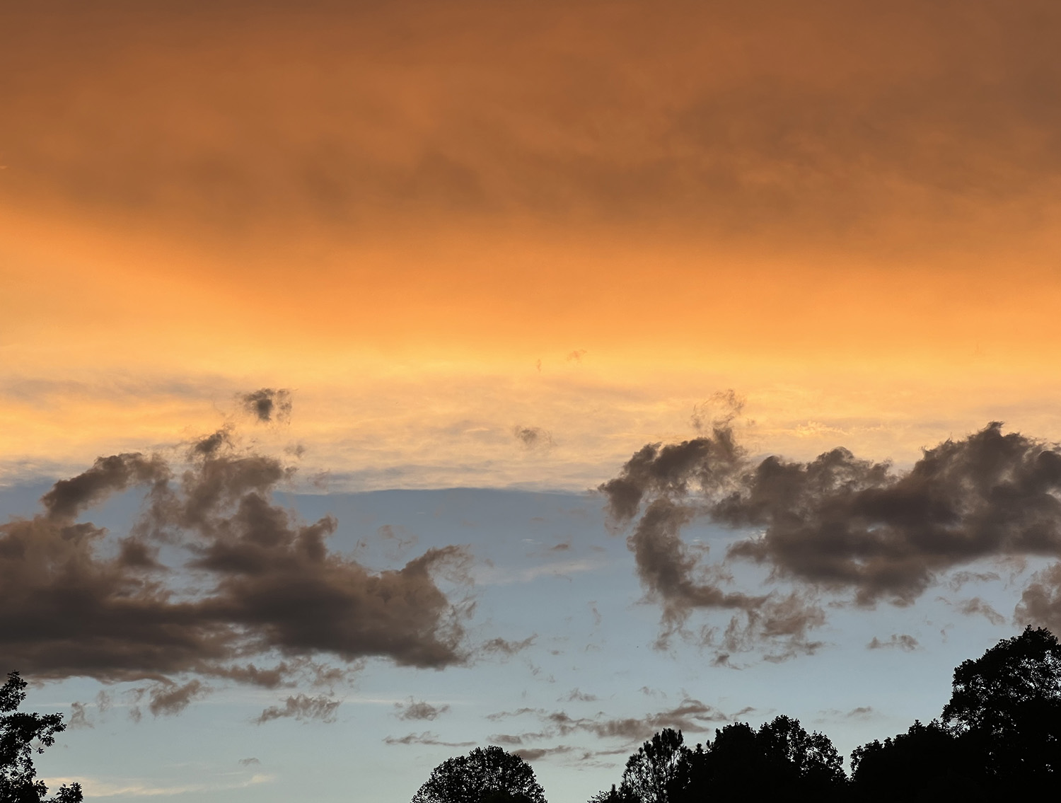 FUCKING CRUSHED BY THIS OH GOD