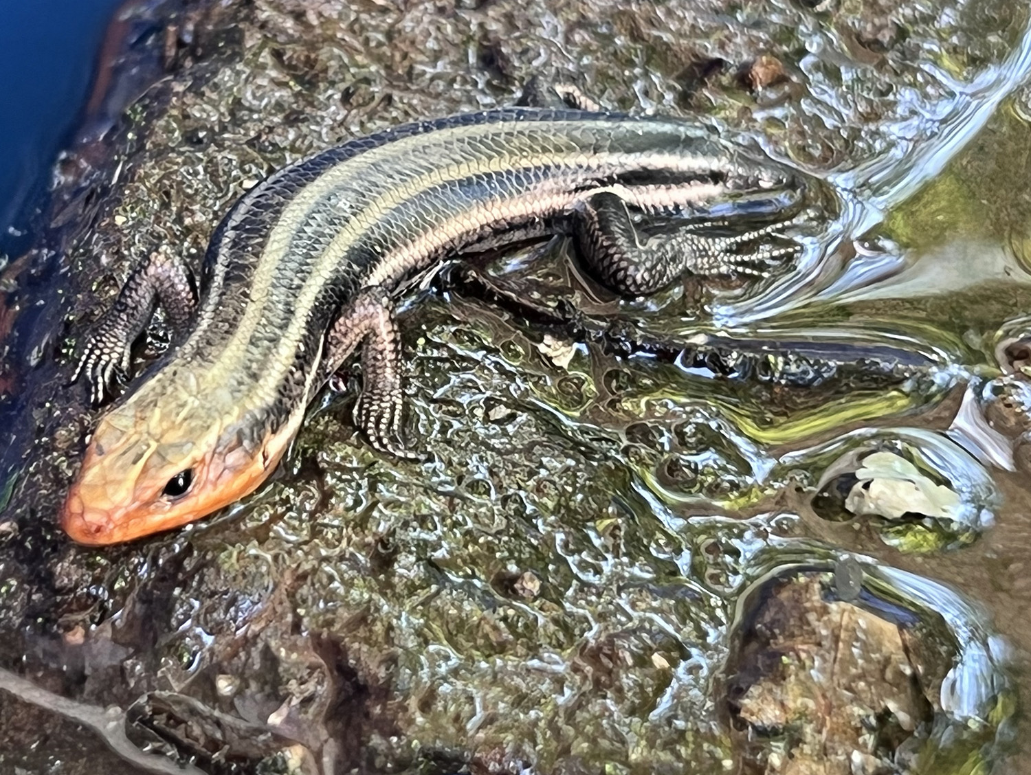 WE SELECTED ANOTHER CANDIDATE