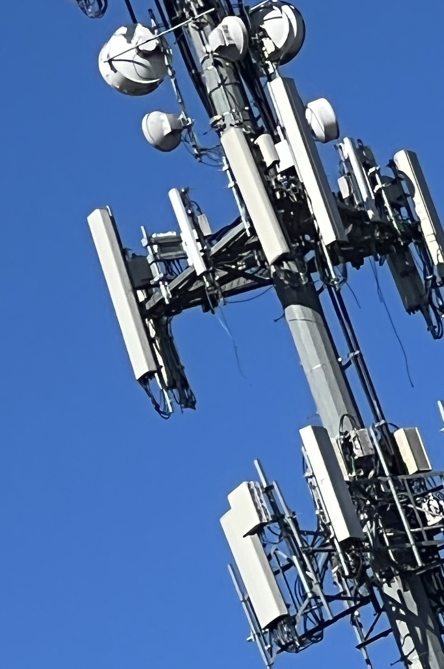 HERALD FORGONE CONCLUSION