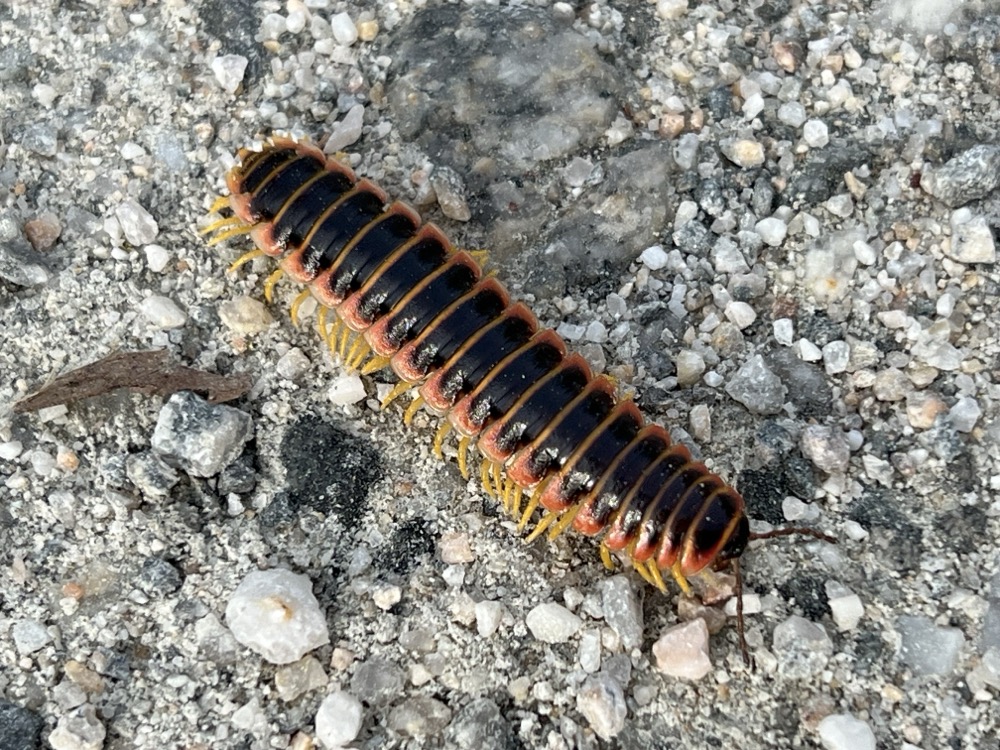 OK I FORGET WHO WAS IT