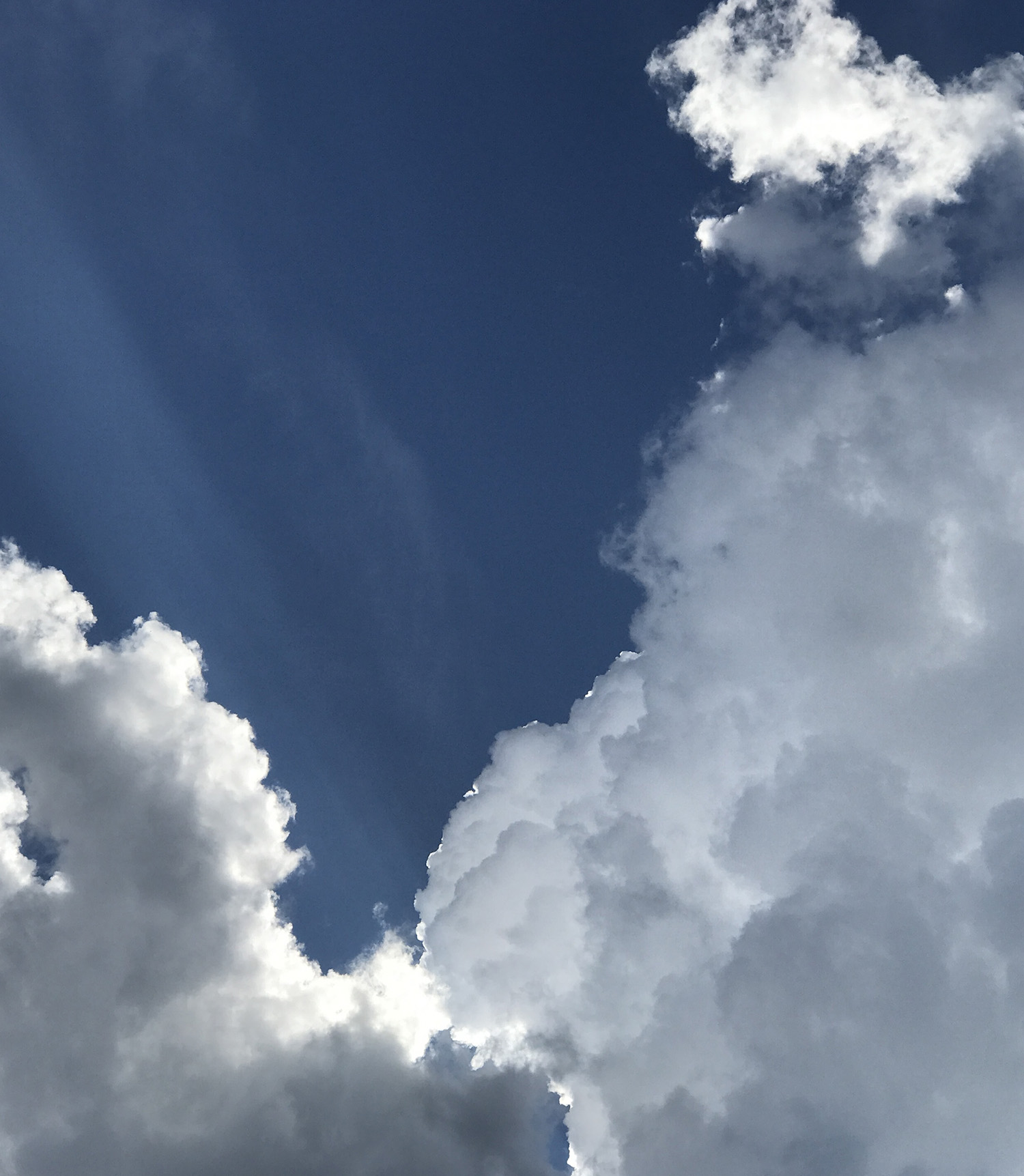 YOU KNOW ONE THING I KNOW