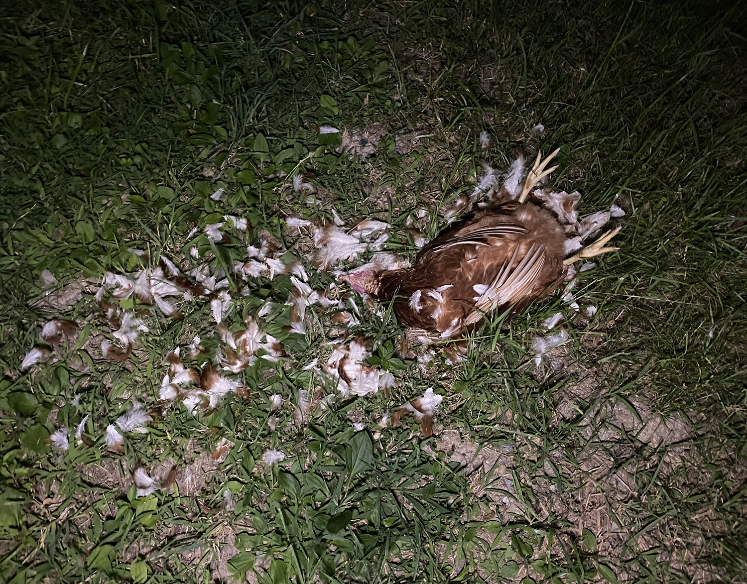 GOD DAMMIT NOT AGAIN