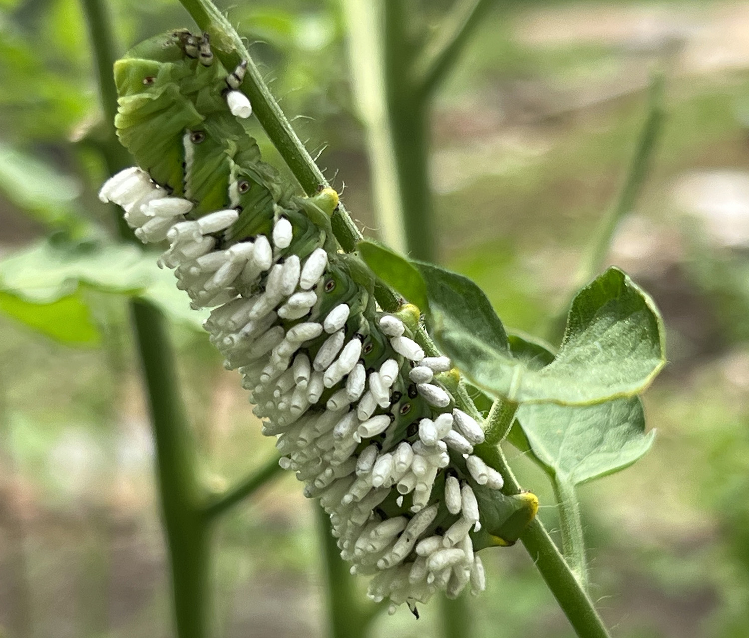 GOT OFF WORK EARLY TODAY