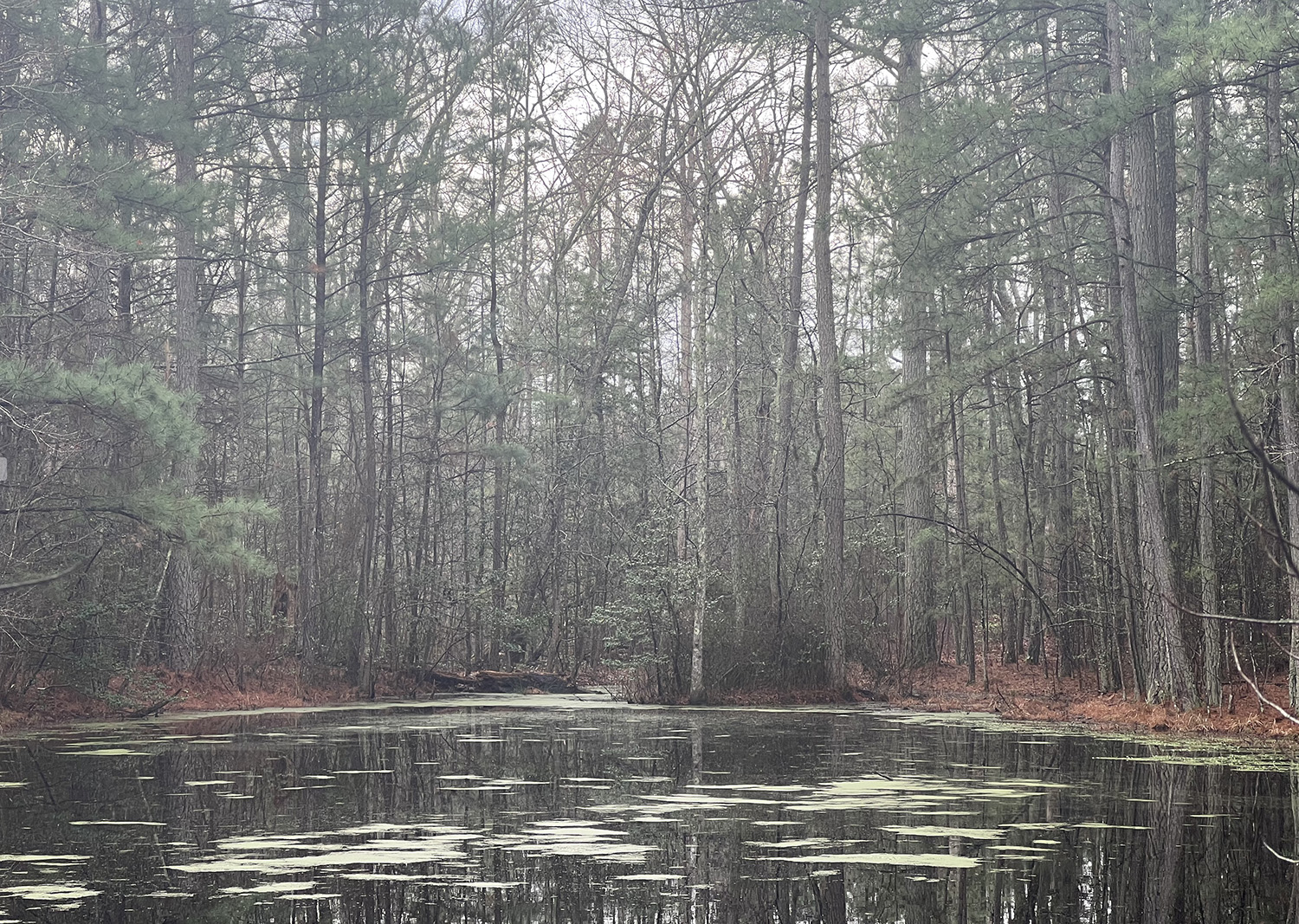 SOAKED IN THE BLOOD OF GOD