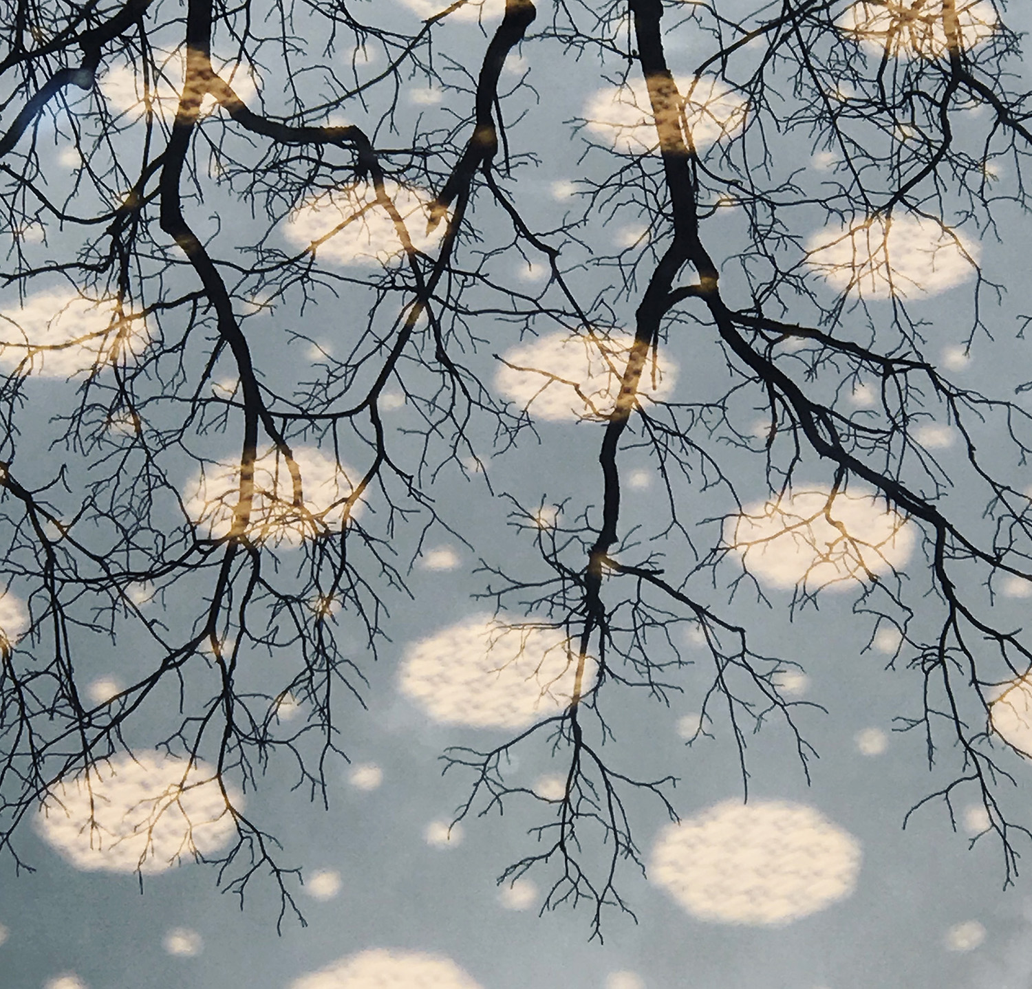 POLYMORPHIC UNDERTONES