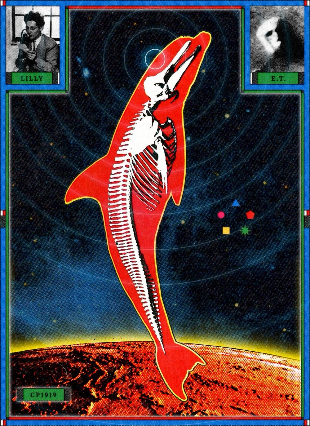 SUBTLE CHANGE FORM OF SALAMANDER