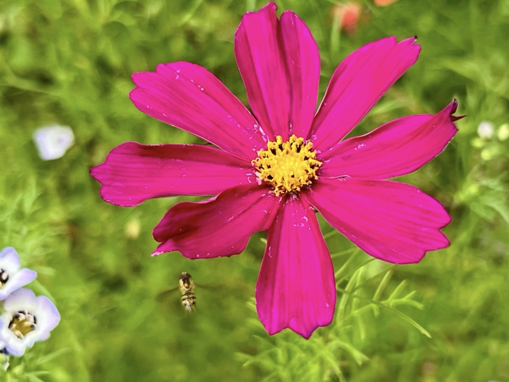 OK, THIS IS MY LOVE. OH BABY.