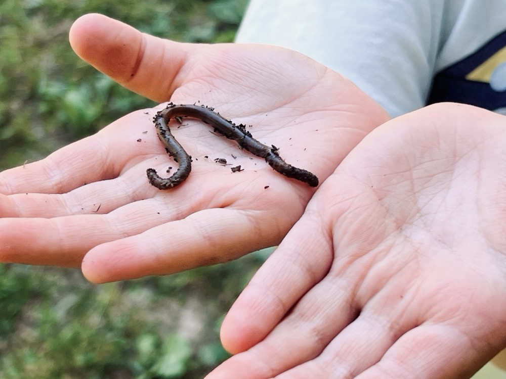 EQUALLY IMPRESSIVE WAS HOW MUCH