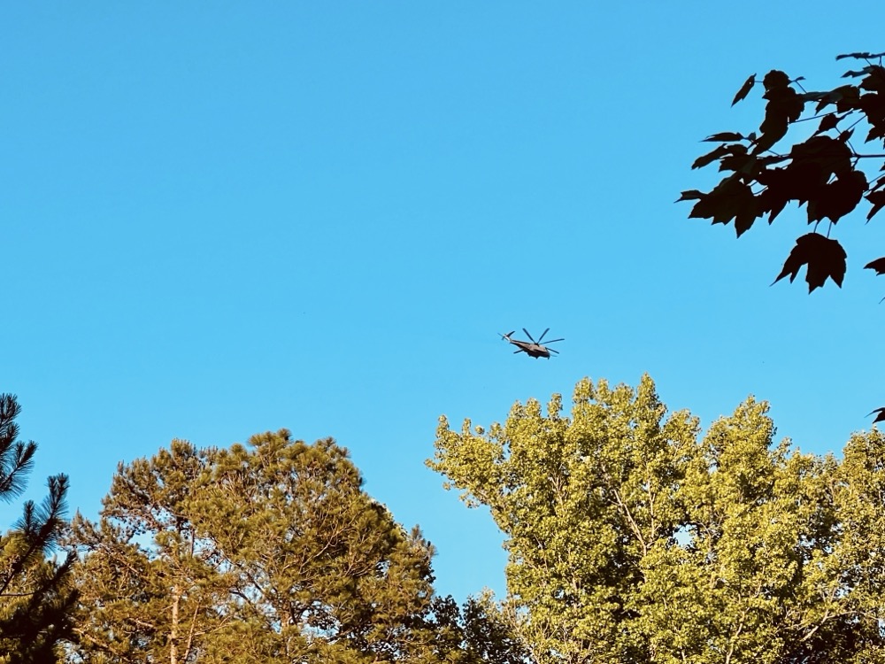 UNTOUCHABLE HYPEROID SCENARIO