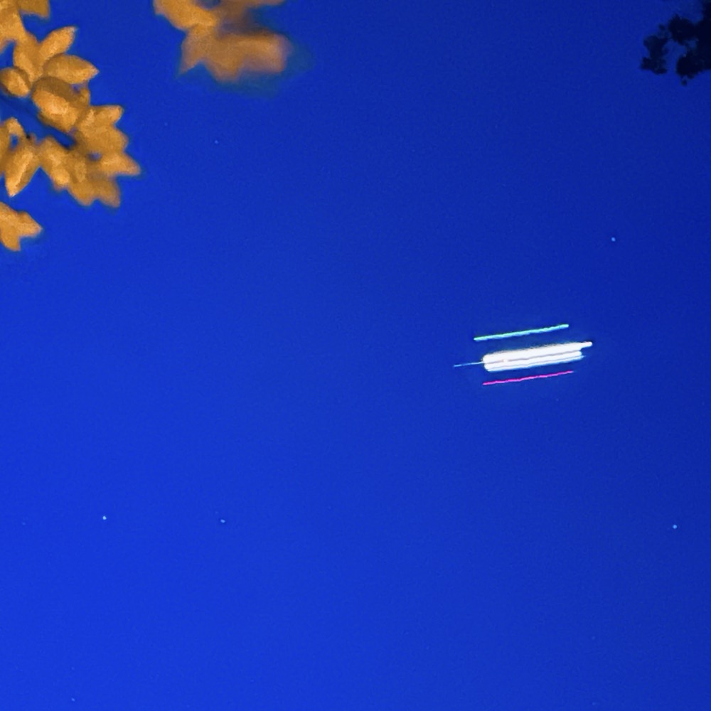 FERTILE AND DELICATE TWICE DELICIOUS