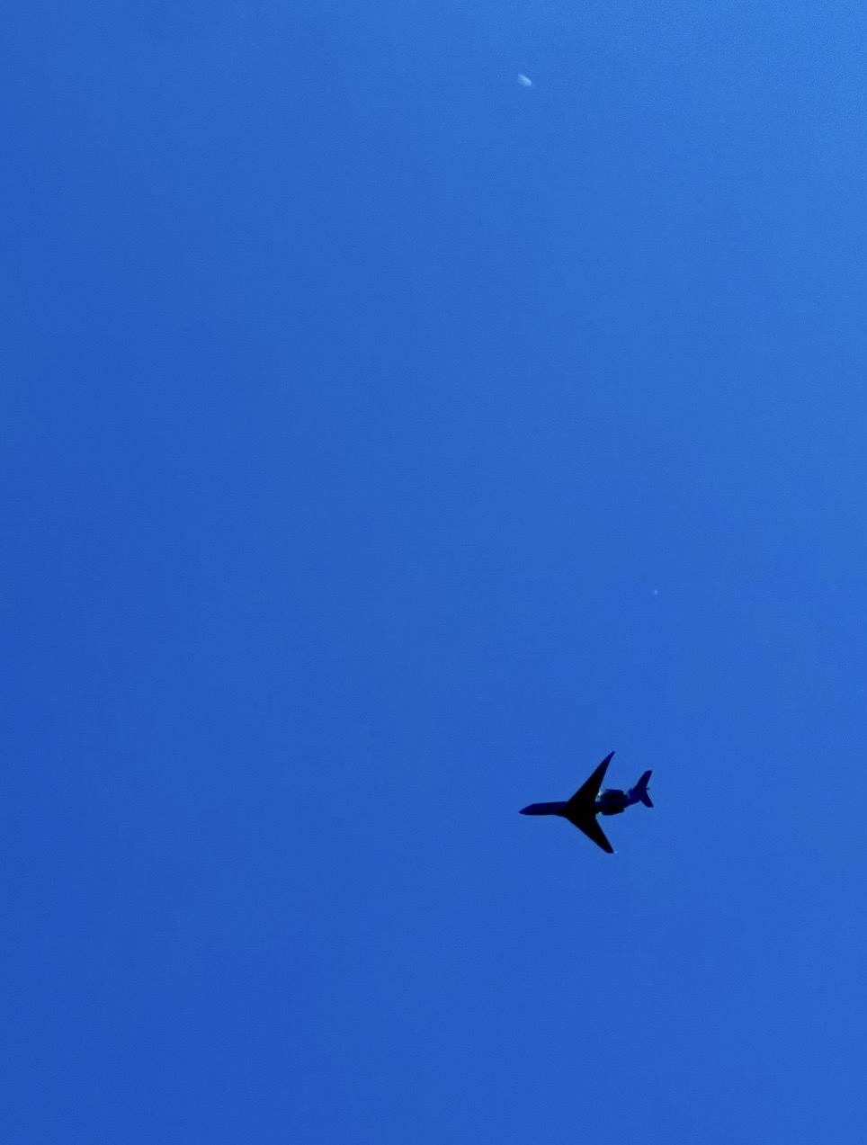 TWIN SNAKE VIBE SIMULATION