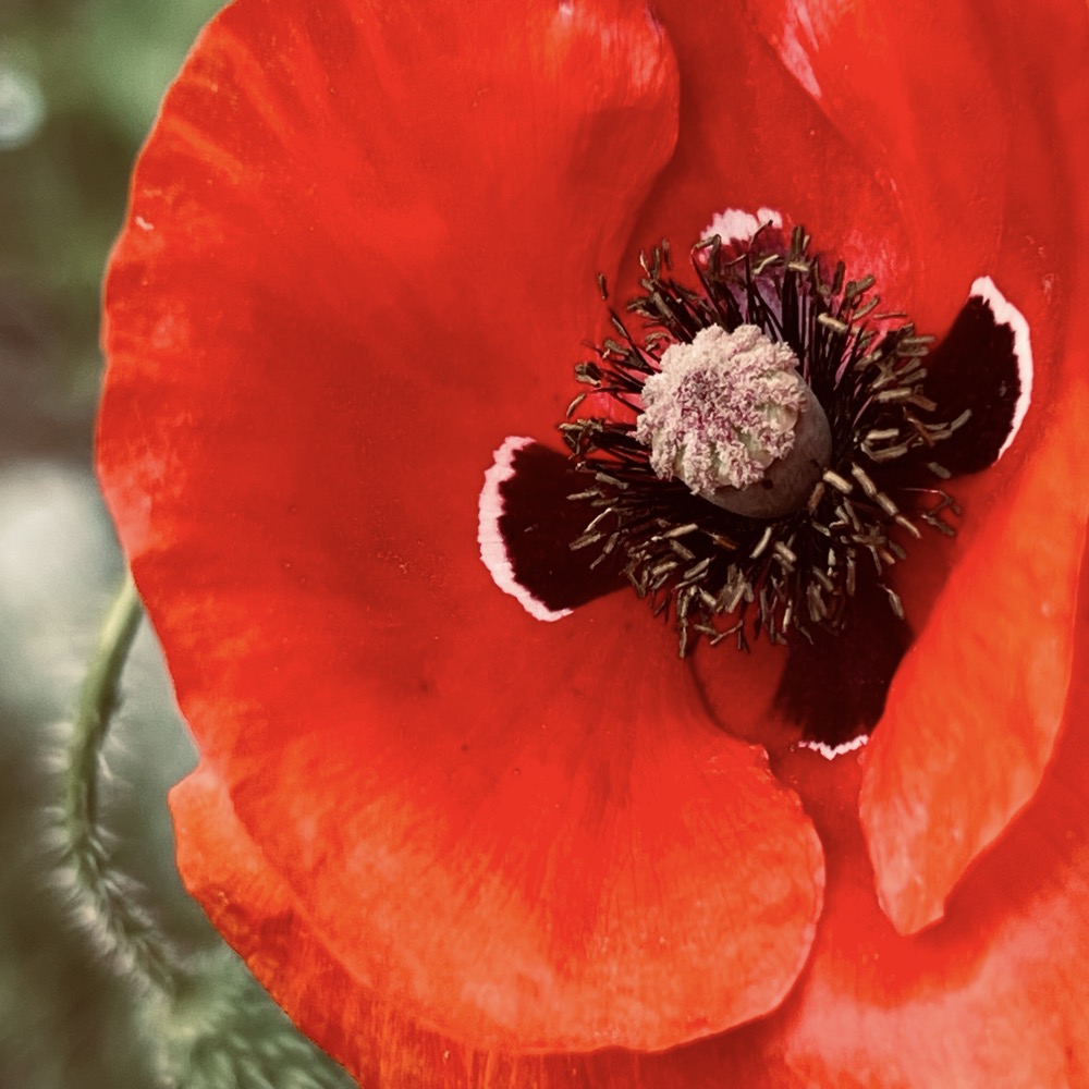 TETHERED SUBLIMINAL GESTURE