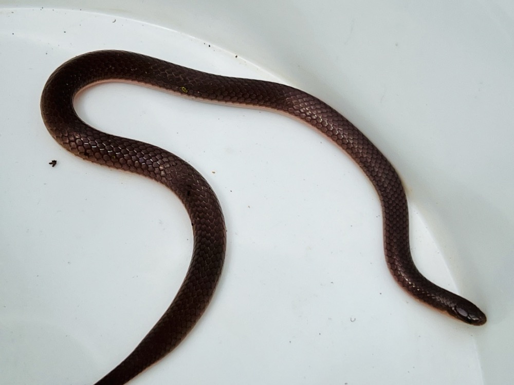 I DON’T KNOW WHAT TO DO