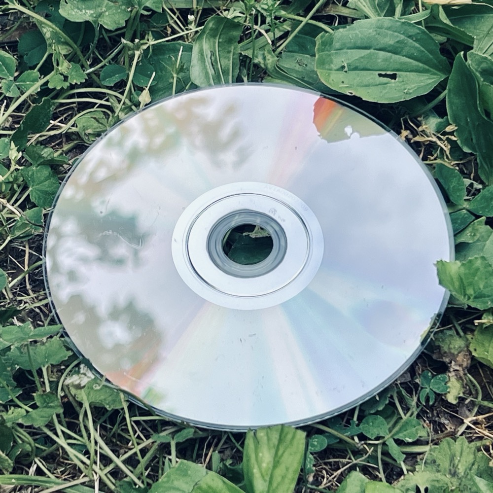 MANSLAUGHTER TWISTED HOMOGENEOUS