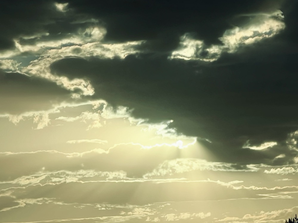 SPEED DEATH FORMED ULTIMATE